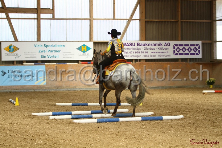26-ApHC GT_219.jpg